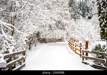 Stati Uniti, Stato di Washington, Woodinville. Passerelle invernali a Woodinville. Foto Stock