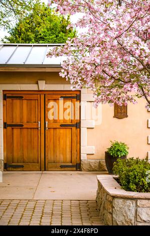 Stati Uniti, Stato di Washington, Walla Walla. Primavera in fiore presso l'azienda vinicola Leonetti Cellars. (Solo per uso editoriale) Foto Stock