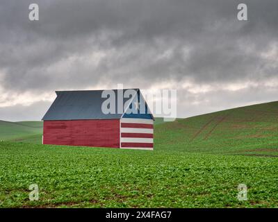 Stati Uniti, Stato di Washington, regione di Palouse. Fienile in campo di grano con bandiera finale (solo per uso editoriale) Foto Stock