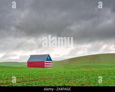 Stati Uniti, Stato di Washington, regione di Palouse. Fienile in campo di grano con bandiera finale (solo per uso editoriale) Foto Stock