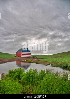 Stati Uniti, Stato di Washington, regione di Palouse. Fienile in campo di grano con bandiera finale (solo per uso editoriale) Foto Stock