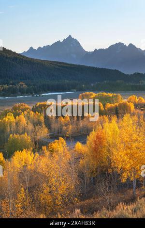 Colori autunnali a Oxbow Bend, Grand Teton National Park, Wyoming. Foto Stock