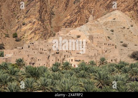 Fango-mattoni rovine e palme da dattero nel villaggio oasi di Birkat al Mouz, Oman Foto Stock