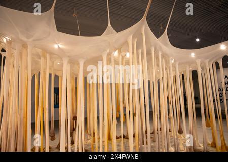Ernesto Neto's, proprio come Drops in Time, Nothing art installation in Art Gallery of New South Wales extension Naala Badu building, Sydney, Australia Foto Stock