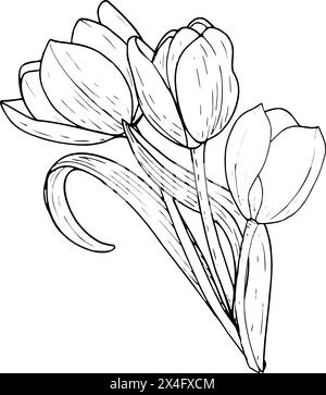 Bouquet di fiori di tulipani illustrazione vettoriale tre. Disegno grafico con profilo nero della testa della lampadina a lamelle curve. Biglietto d'auguri per fiori botanici. Linea dell'inchiostro Illustrazione Vettoriale