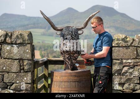 Scottish Borders, Regno Unito. 2 maggio 2024. 2 maggio 2024 Meteo, Arti Brandon Beck è un fabbro di successo con sede negli Scottish Borders, ma anche uno scultore di talento. Nella foto, con la sua ultima creazione di un drammatico busto di una mucca delle Highland realizzato con ferro di cavallo forgiato e rimodellato. Le sue opere saranno esposte alla mostra d'arte Art in Antrim, che si tiene questo fine settimana festivo ad Ancrum, negli Scottish Borders. Nella foto, si indossano i ritocchi finali prima che i lavori si svolgano alla mostra di questo fine settimana ad Ancrum. Crediti immagine: phil wilkinson/Alamy Live News Foto Stock