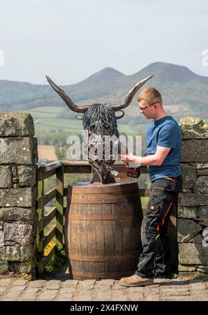 Scottish Borders, Regno Unito. 2 maggio 2024. 2 maggio 2024 Meteo, Arti Brandon Beck è un fabbro di successo con sede negli Scottish Borders, ma anche uno scultore di talento. Nella foto, con la sua ultima creazione di un drammatico busto di una mucca delle Highland realizzato con ferro di cavallo forgiato e rimodellato. Le sue opere saranno esposte alla mostra d'arte Art in Antrim, che si tiene questo fine settimana festivo ad Ancrum, negli Scottish Borders. Nella foto, si indossano i ritocchi finali prima che i lavori si svolgano alla mostra di questo fine settimana ad Ancrum. Crediti immagine: phil wilkinson/Alamy Live News Foto Stock