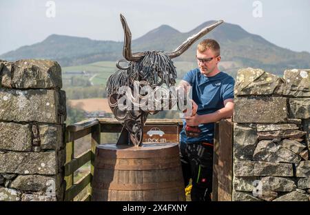 Scottish Borders, Regno Unito. 2 maggio 2024. 2 maggio 2024 Meteo, Arti Brandon Beck è un fabbro di successo con sede negli Scottish Borders, ma anche uno scultore di talento. Nella foto, con la sua ultima creazione di un drammatico busto di una mucca delle Highland realizzato con ferro di cavallo forgiato e rimodellato. Le sue opere saranno esposte alla mostra d'arte Art in Antrim, che si tiene questo fine settimana festivo ad Ancrum, negli Scottish Borders. Nella foto, si indossano i ritocchi finali prima che i lavori si svolgano alla mostra di questo fine settimana ad Ancrum. Crediti immagine: phil wilkinson/Alamy Live News Foto Stock