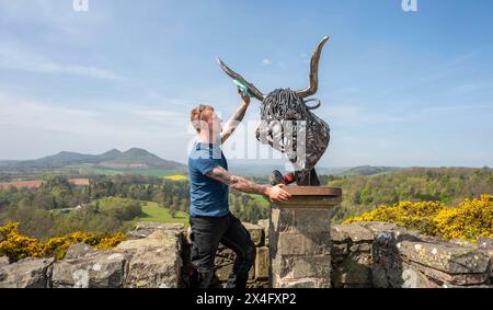 Scottish Borders, Regno Unito. 2 maggio 2024. 2 maggio 2024 Meteo, Arti Brandon Beck è un fabbro di successo con sede negli Scottish Borders, ma anche uno scultore di talento. Nella foto, con la sua ultima creazione di un drammatico busto di una mucca delle Highland realizzato con ferro di cavallo forgiato e rimodellato. Le sue opere saranno esposte alla mostra d'arte Art in Antrim, che si tiene questo fine settimana festivo ad Ancrum, negli Scottish Borders. Nella foto, si indossano i ritocchi finali prima che i lavori si svolgano alla mostra di questo fine settimana ad Ancrum. Crediti immagine: phil wilkinson/Alamy Live News Foto Stock