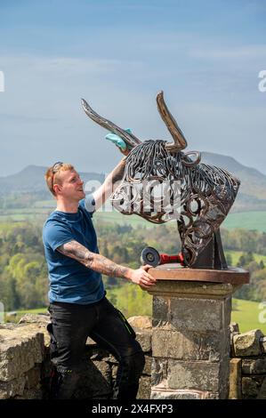 Scottish Borders, Regno Unito. 2 maggio 2024. 2 maggio 2024 Meteo, Arti Brandon Beck è un fabbro di successo con sede negli Scottish Borders, ma anche uno scultore di talento. Nella foto, con la sua ultima creazione di un drammatico busto di una mucca delle Highland realizzato con ferro di cavallo forgiato e rimodellato. Le sue opere saranno esposte alla mostra d'arte Art in Antrim, che si tiene questo fine settimana festivo ad Ancrum, negli Scottish Borders. Nella foto, si indossano i ritocchi finali prima che i lavori si svolgano alla mostra di questo fine settimana ad Ancrum. Crediti immagine: phil wilkinson/Alamy Live News Foto Stock