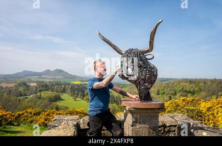 Scottish Borders, Regno Unito. 2 maggio 2024. 2 maggio 2024 Meteo, Arti Brandon Beck è un fabbro di successo con sede negli Scottish Borders, ma anche uno scultore di talento. Nella foto, con la sua ultima creazione di un drammatico busto di una mucca delle Highland realizzato con ferro di cavallo forgiato e rimodellato. Le sue opere saranno esposte alla mostra d'arte Art in Antrim, che si tiene questo fine settimana festivo ad Ancrum, negli Scottish Borders. Nella foto, si indossano i ritocchi finali prima che i lavori si svolgano alla mostra di questo fine settimana ad Ancrum. Crediti immagine: phil wilkinson/Alamy Live News Foto Stock