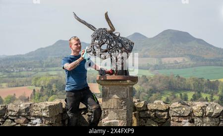 Scottish Borders, Regno Unito. 2 maggio 2024. 2 maggio 2024 Meteo, Arti Brandon Beck è un fabbro di successo con sede negli Scottish Borders, ma anche uno scultore di talento. Nella foto, con la sua ultima creazione di un drammatico busto di una mucca delle Highland realizzato con ferro di cavallo forgiato e rimodellato. Le sue opere saranno esposte alla mostra d'arte Art in Antrim, che si tiene questo fine settimana festivo ad Ancrum, negli Scottish Borders. Nella foto, si indossano i ritocchi finali prima che i lavori si svolgano alla mostra di questo fine settimana ad Ancrum. Crediti immagine: phil wilkinson/Alamy Live News Foto Stock