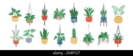 Pentole e grucce per macrame. Collezione di fiori casalinghi. Illustrazione vettoriale. Illustrazione Vettoriale