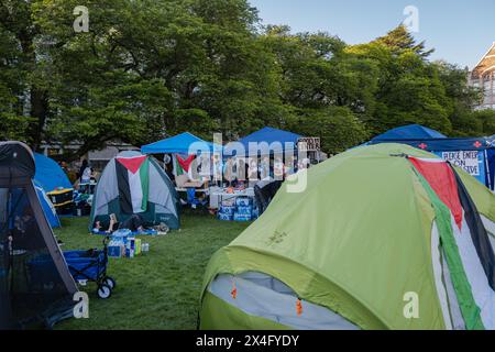 Washington, Stati Uniti. 2 maggio 2024. La zona pranzo fornisce sostentamento ai manifestanti, alimentando la loro energia e resilienza mentre continuano la lotta per la liberazione. L'area centrale, presso l'Università di Washington, è diventata un centro di attivismo in quanto l'UW United Front for Palestinian Liberation (UF) istituisce un campo di Palestina. Con più di 20 tende sparse intorno c'è un notevole aumento di manifestanti appassionati. Credito: SOPA Images Limited/Alamy Live News Foto Stock