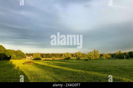 Questa immagine presenta un campo verde vibrante inondato dalla calda luce dorata di un sole di mattina presto. Le ombre lunghe si estendono sull'erba, aggiungendo profondità e consistenza al paesaggio. Alberi distanti allineano l'orizzonte, creando un confine naturale che incornicia il campo espansivo. Il cielo tranquillo, punteggiato da morbide nuvole, migliora la tranquillità di questo ambiente rurale. Paesaggio pastorale illuminato dal sole: Campo verde vivace e alberi lontani all'alba. Foto di alta qualità Foto Stock