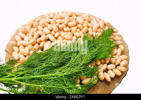 Fagioli freschi e aneto verde, pronti per la cottura Foto Stock