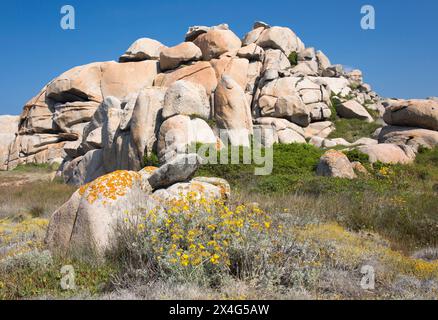 Riserva naturale delle Isole Lavezzi, Corsica del Sud, Francia. Enormi massi di granito in collina dietro Cala Lazarina, l'isola di Lavezzu. Foto Stock