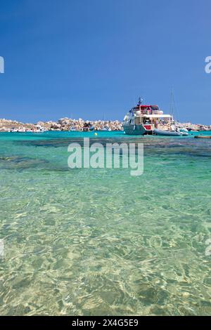 Riserva naturale delle Isole Lavezzi, Corsica del Sud, Francia. Vista sulle acque turchesi poco profonde di Cala Lazarina, l'isola di Lavezzu. Foto Stock