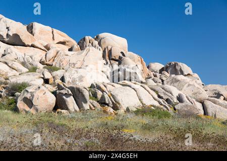 Riserva naturale delle Isole Lavezzi, Corsica del Sud, Francia. Enormi massi di granito in collina dietro Cala Lazarina, l'isola di Lavezzu. Foto Stock