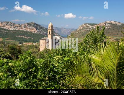 Patrimonio, Haute-Corse, Corsica, Francia. Ammira la vegetazione lussureggiante della storica Église Saint-Martin e il lontano Golfo di Saint-Florent. Foto Stock