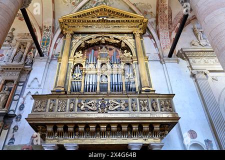 Verona Veneto Italia. L'organo della Basilica di Santa Anastasia Foto Stock