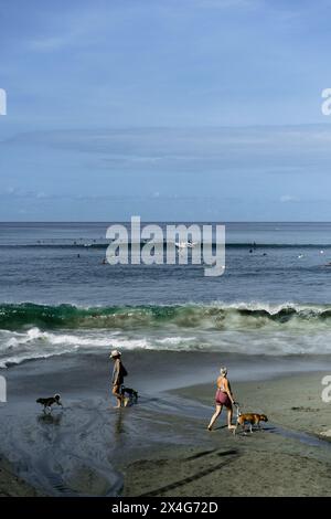 Molti surfisti catturano le onde nell'oceano, Bali Foto Stock