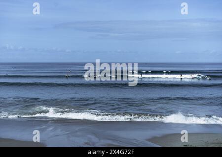 Molti surfisti catturano le onde nell'oceano, Bali Foto Stock