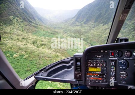 Vista in elicottero su una lussureggiante valle hawaiana Foto Stock