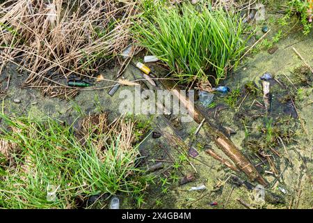 Acqua inquinata dello stagno con rifiuti sparsi tra erba verde e canne morte, tra cui bottiglie, plastica e detriti vari Foto Stock