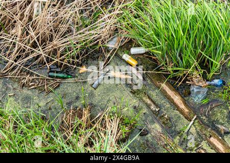 Acqua di stagno inquinata con rifiuti sparsi tra erba verde e canne morte, tra cui bottiglie, plastica e detriti vari primo piano Foto Stock