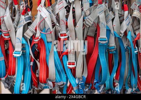 Imbracature multiple per arrampicata in tonalità rosso, blu e grigio, appese e pronte all'uso, come sfondo Foto Stock