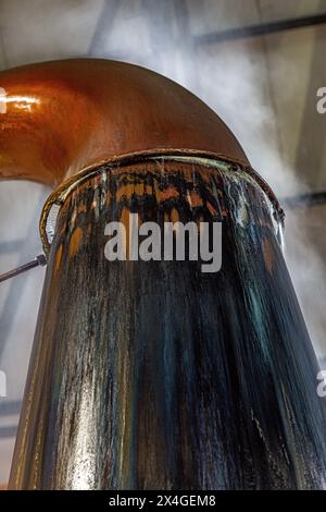 Distilleria Fettercarin, Aberdeenshire , Scozia Foto Stock