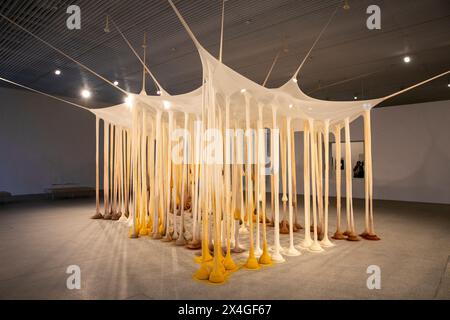 Ernesto Neto's, proprio come Drops in Time, Nothing art installation in Art Gallery of New South Wales extension Naala Badu building, Sydney, Australia Foto Stock