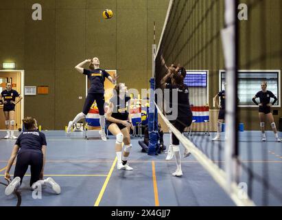 ARNHEM - 03/05/2024, giocatori durante l'allenamento della squadra olandese di pallavolo femminile in vista del periodo di qualificazione olimpica. ANP SEM VAN DER WAL Foto Stock