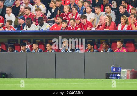 Banca di ricambio con Alphonso DAVIES, FCB 19 Aleksandar Pavlovic, FCB 45 Raphael Guerreiro, FCB 22 Bryan Zaragoza (FCB 17) Eric MAXIM CHOUPO-MOTING (FCB 13) Dayot Upamecano , FCB 2 Serge GNABRY, FCB 7 Mathys Tel, FCB 39 Daniel Peretz, portiere FCB 24 nella semifinale FC BAYERN MUENCHEN - REAL MADRID 2-2 della UEFA Champions League nella stagione 2023/2024 a Monaco, 30 aprile 2024. Halbfinale, FCB, Muenchen fotografo: Immagini ddp / immagini a stella Foto Stock