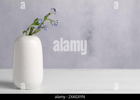Bellissimi fiori dimenticati in vaso su un tavolo di marmo bianco, primo piano. Spazio per il testo Foto Stock