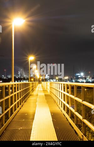 Una scena notturna presenta un ponte pedonale vuoto e ben illuminato che conduce l'occhio verso un paesaggio urbano luminoso in lontananza. I lampioni emettono una calda luce sulla ringhiera in metallo e sulla passerella testurizzata, in contrasto con le fredde sfumature blu del cielo notturno. La prospettiva trasmette un senso di viaggio e di esplorazione urbana. Passerella illuminata che conduce a un paesaggio urbano di notte. Foto di alta qualità Foto Stock