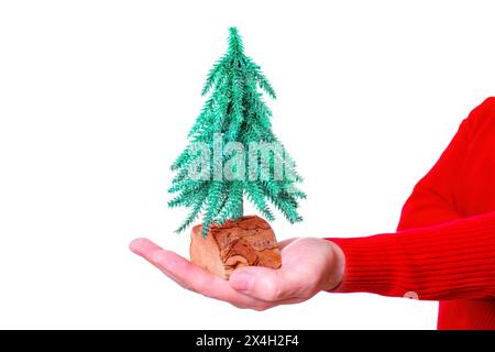 Piccolo albero di Natale si erge su una base di legno, cullato in mano. Concetto stagionale. Foto Stock