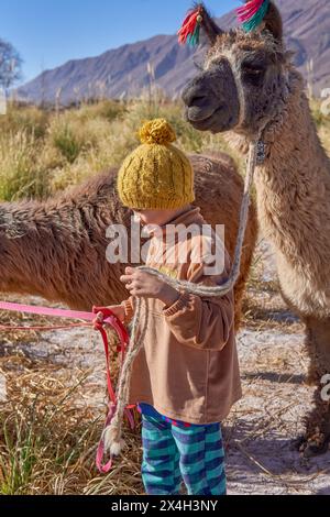 Ritratto ravvicinato di un ragazzo latino che cammina di profilo portando un lama con una corda in un'escursione a Purmamarca, Argentina. Foto Stock