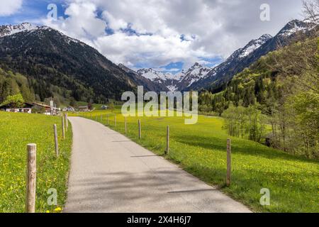 Freundliches Maiwetter a Bayern Sonne und Wolken wechseln sich im Trettachtal im Allgäu mit blühendem Löwenzahn ab., Oberstdorf Bayern Deutschland *** clima amichevole di maggio in Baviera Sole e nuvole si alternano a dentileoni in fiore nella valle del Trettachtal nel Allgäu, Oberstdorf Baviera Germania Foto Stock