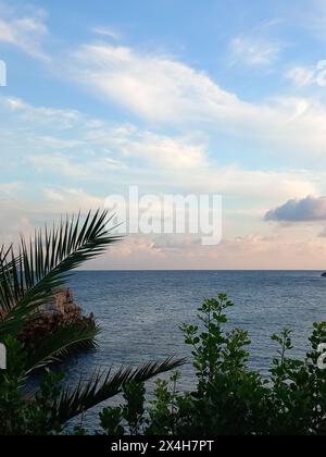 sereno crepuscolo sull'oceano incorniciato da foglie di palma, che riflettono le sfumature morbide del sole che tramonta in un tranquillo paesaggio tropicale Foto Stock