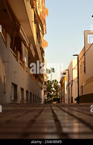 una tranquilla scena urbana di strada vista dal suolo, caratterizzata da palme ed edifici immersi nel caldo bagliore del sole che tramonta, enfatizzando la pace Foto Stock