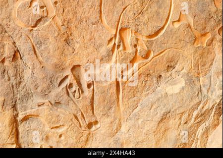 La vache qui pleure, la roccia intagliata della mucca piangente. Erg Admer, Algeria Foto Stock