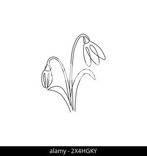 Linea singola continua che disegna bellezza fresco galanthus del logo del giardino. Fiore decorativo a goccia di neve stampabile per decoro domestico poster art Illustrazione Vettoriale