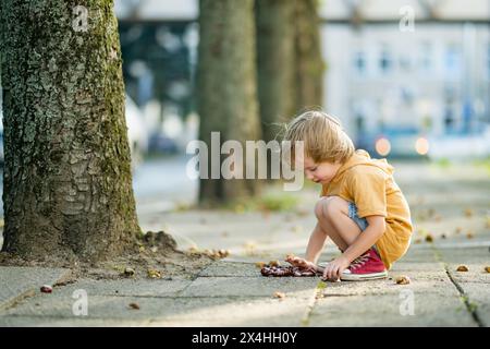 Un bambino che raccoglie le castagne in un parco il giorno d'autunno. Il bambino si diverte con la ricerca di castagne e fogliame. Attività autunnali con bambini. Foto Stock