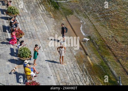 Vista sopraelevata del lungomare di Portofino con turisti che scattano foto e un cane che si rinfresca sulla riva in estate, Genova, Liguria, Italia Foto Stock