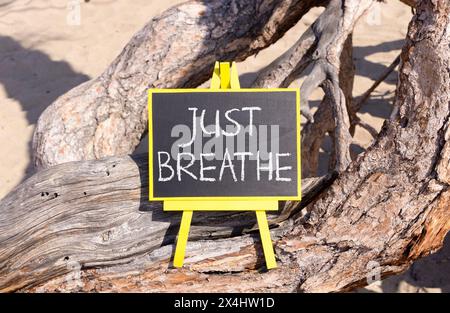 Respira e simbolo psicologico. Le parole concettuali si respirano sulla bella lavagna nera e gialla. Splendido sfondo di alberi. Psicologi degli affari Foto Stock