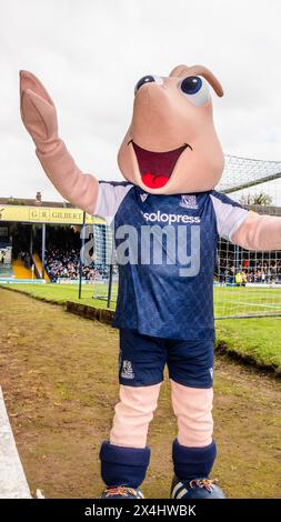 La mascotte del Southend United Sammy the Shrimp ad una partita in casa. Foto Stock