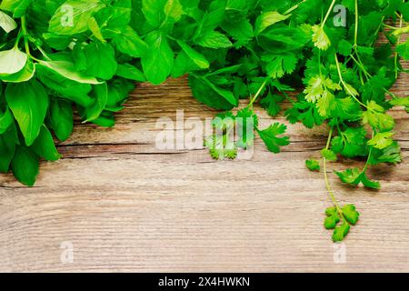 Coriandrum, balsamo di limone e basilico su tavola di legno. Cibo sano Foto Stock