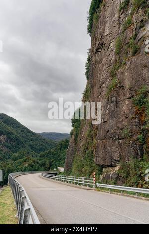 Piedra del Gato, Carretera Austral, El Lobo, Cisnes, Aysen, Cile Foto Stock